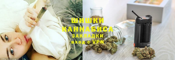 бошки Алексин