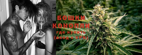 спайс Рославль