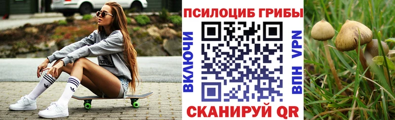 Псилоцибиновые грибы MAGIC MUSHROOMS  продажа наркотиков  Боровичи 